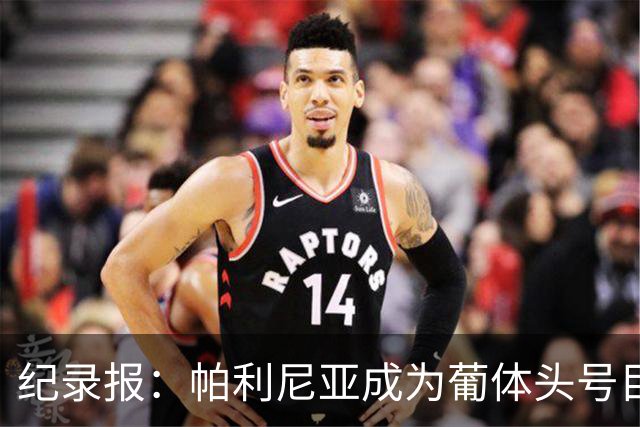 纪录报：帕利尼亚成为葡体头号目标，希望在新赛季开始前敲定交易